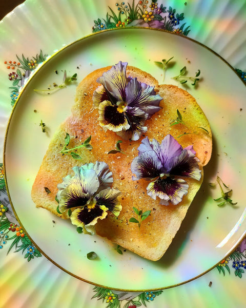 Foraging Wild Violets + Recipe