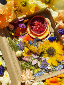 Live Edible Flowers for Adornment