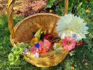 Pressed + Dried Edible Flowers