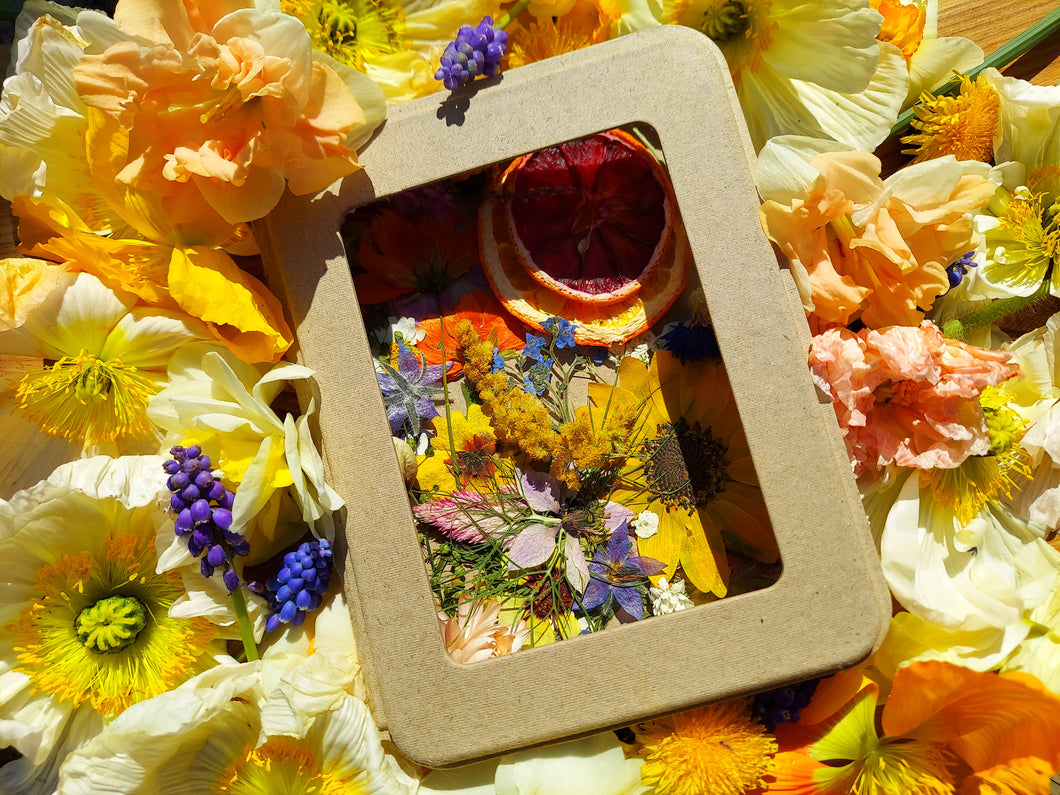 Pressed + Dried Edible Flowers