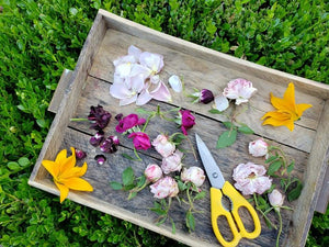 Pressed + Dried Edible Flowers