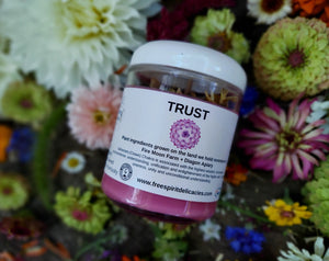 Trust ~ Soy Candle